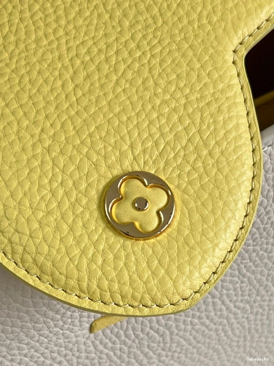 VUITTON MM CAPUCINES LOUIS 0211